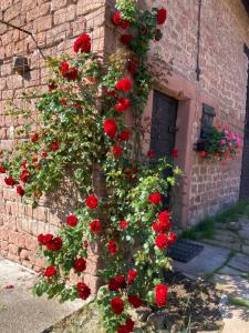 B&B / Chambres d'hotes En Passant : photos des chambres