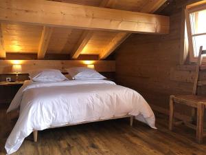 Appartements L-Arpa - Duplex dans Chalet Neuf - Vue MontBlanc : photos des chambres