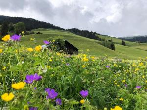 Appartements L-Arpa - Duplex dans Chalet Neuf - Vue MontBlanc : photos des chambres