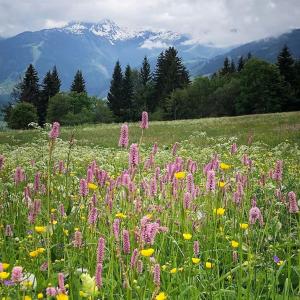 Appartements L-Arpa - Duplex dans Chalet Neuf - Vue MontBlanc : photos des chambres