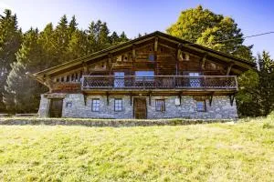 Chalet d'alpage Cornillon - 梅杰夫