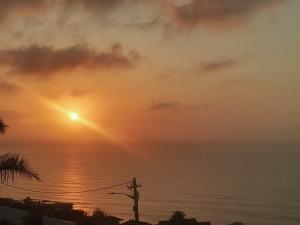 Jackies s Ocean View