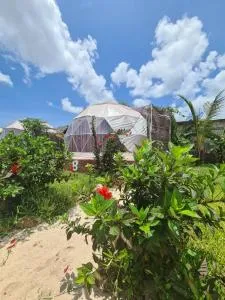 Paradise city - Potoa