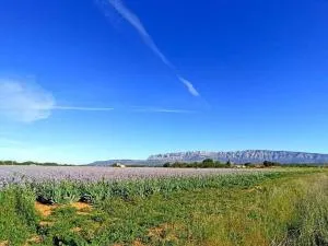 Grand T2, RDC avec jardin - Peynier