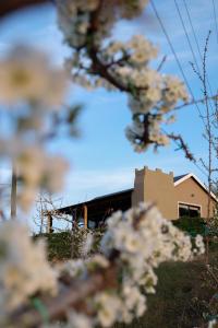 Nicara Floris Luxury Ecocabin