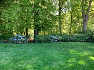 Experience The Forest And Sea