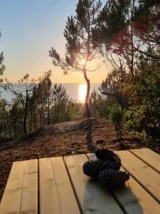 Au Pied de la Dune, accès privé à la plage - 圣乔治-德迪多讷 Au Pied de la Dune, accès privé à la plage - 圣乔治-德迪多讷