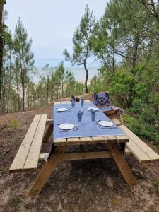 Maisons de vacances Au Pied de la Dune, acces prive a la plage : photos des chambres