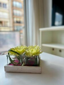 STUDIO Oever - 1 min de la plage