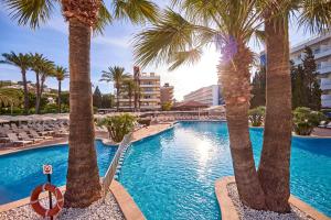 Zafiro Rey Don Jaime