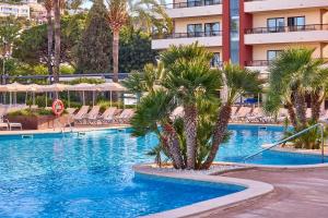 Zafiro Rey Don Jaime