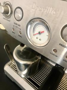 Peaceful Sandton Escape