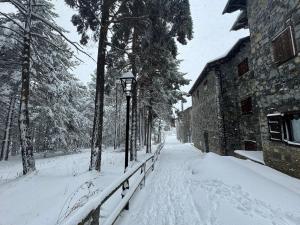 Residencia Pista Llarga