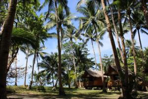 Ocam Ocam Mission Inn and Ocean-View Cottages