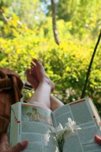 The Cattleya Guest House Sigiriya