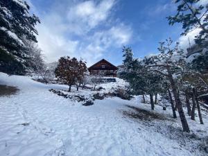 Appartements Chalet a un endroit exceptionnel, Alpes, Parc National des Ecrins : photos des chambres