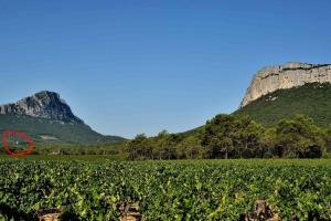 Maisons de vacances Gite du Pic Saint loup : photos des chambres