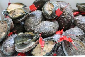 Hotels Le Continental : photos des chambres