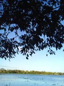 Lotus View Cabana - Weerawila