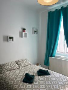 LOasis Arrageoise 45m2 4 personnes hyper centre