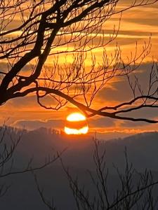 M&V Infinit integral