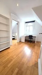 Großzügige Altbauwohnung mitten in der City - Stesse