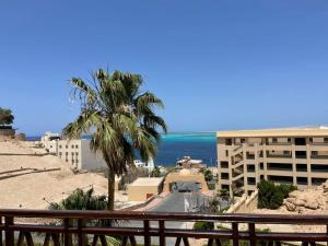 Studil for rent 206 hill