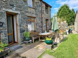 Brynhyfryd - Carnguwch