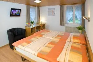 Gasthof Frohsinn - Bad Zurzach