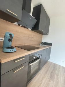 Appartements Souleih d Ossau 203 : photos des chambres