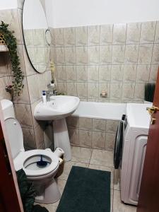 Apartament Zamca - langa Regina Maria