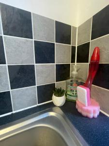 Cosy City Centre Flat