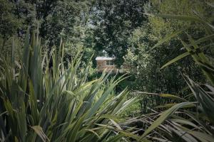 Hut at Nettle and Dock
