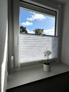 WD Living Wooden Black and White inkl Parkplatz