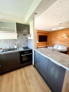 Appartements Charmant T2 Sallanches : Appartement 1 Chambre