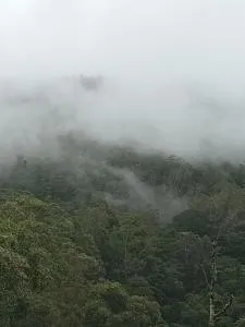 Mount plaza ohiya - Boralanda