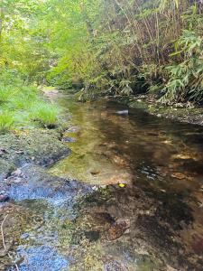 Ty Mawr Country Hotel & Restaurant