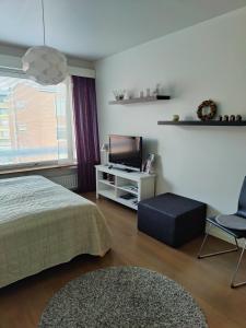 Jaakonkatu City Apartment