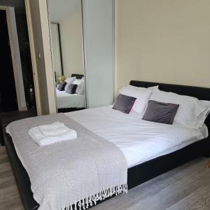 Spacious Two Bedroom Apartment in South Kensington