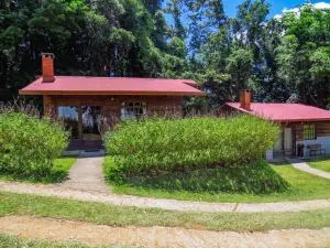 Rancho Amalia - Bajos del Toro