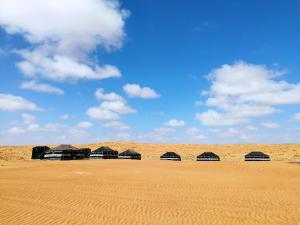 Sands Dream Tourism Camp