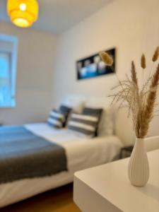 Appartements Experience Malouine - Appt T3-Coeur de Malo-Plage : photos des chambres