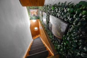 Terminal Garden Apartman