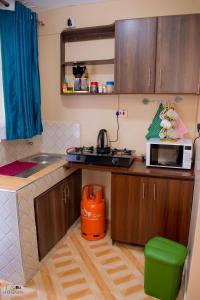 TheGodvari Executive Studio Apartment in Elgon View, Eldoret near Sports Club