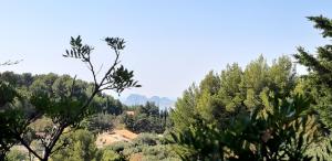 Maisons de vacances Le Colibri : photos des chambres