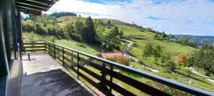 Chalet Les Sapins sauna au pied des pistes - 科尔尼蒙