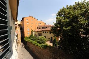 Acacia Firenze - Flora