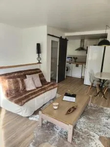 Agréable appartement rénové situé dans les hauteurs de Brides - Villarnard