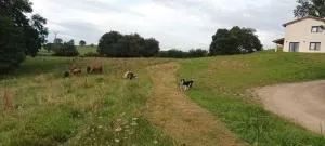 La Bocarona (Villa Cantabra) - Cubas