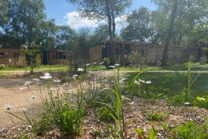 Campings Le Domaine De Mesqueau : Mobile Home